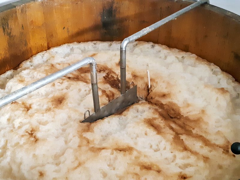 Offene Gärung im Bottich aus Eichenholz, mit Schaumdecke auf dem Jungbier